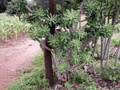 pict0139.jpg