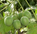 pict0148.jpg
