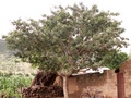 pict0149.jpg