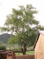 pict0150.jpg