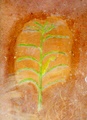 dscf0065.jpg