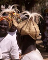 pict0009.jpg
