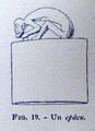 e___g_029.jpg