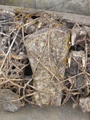 pc060367.jpg