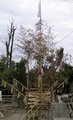 pc060379.jpg