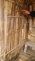pc060386.jpg