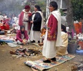 pc130437.jpg