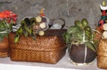 pc130449.jpg