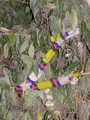 pc130487.jpg