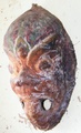 dscf0087.jpg