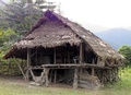 pc070383.jpg