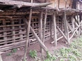 pc070386.jpg