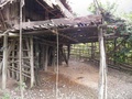 pc070387.jpg