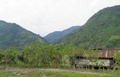 pc070388.jpg