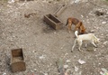 pc070392.jpg
