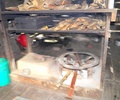 pc070395.jpg