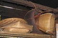 pc070397.jpg