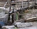 img_0196.jpg