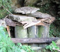 img_0385.jpg