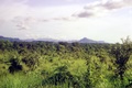 view_twrd_kpi.jpg