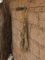 dsc00957.jpg