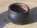 dsc00971.jpg