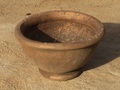 dsc00974.jpg
