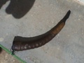 dsc00993.jpg