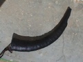 dsc00995.jpg