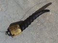 dsc00998.jpg