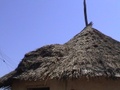 dsc01024.jpg