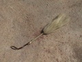 dsc01091.jpg