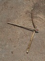 dsc01092.jpg
