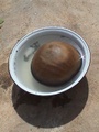 dsc01093.jpg