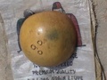 dsc01103.jpg