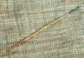 dsc00526.jpg