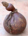 dsc00530.jpg