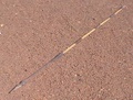 dsc00633.jpg