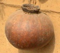 beer_gourd.jpg
