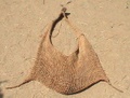 hunterbag2.jpg