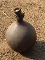 narrow_necked_gourd.jpg