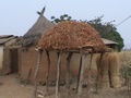 sorghum_drying.jpg