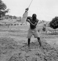 farm_scene_in_miango_area_nigeria_ng_21.jpg