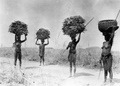 harvesters012.jpg