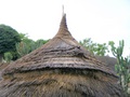 dscf1187.jpg