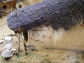 dscf1188.jpg