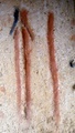 dscf1190.jpg