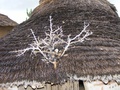 dscf1194.jpg