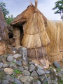 dscf1197.jpg