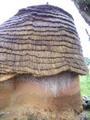 dscf1210.jpg
